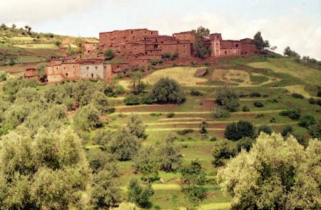 jamale rabani .